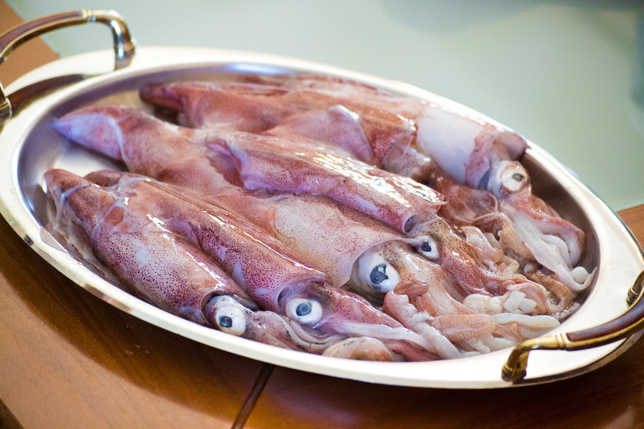 近海魚 イカ 危険