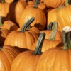 かぼちゃ 皮 農薬