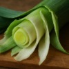 ネギ 皮 はどこまで剥くのが正解